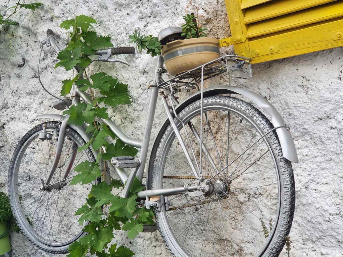 Family Apartment Near Old Town Mostar Bagian luar foto
