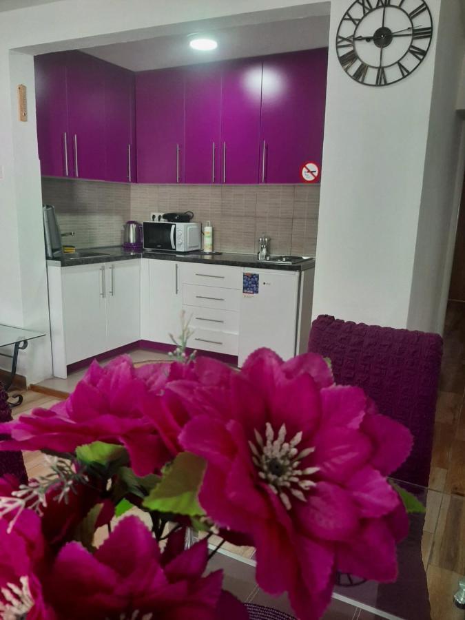 Family Apartment Near Old Town Mostar Bagian luar foto